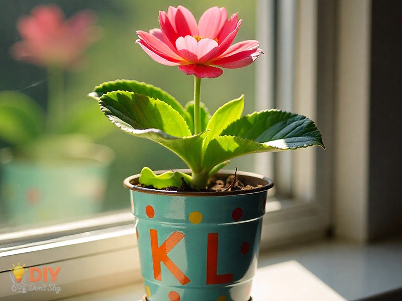 Painted plant pot with small indoor plant as home-friendly birthday gift.
