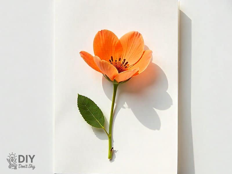 Simple elegant Valentine’s Day card with pressed flower design.