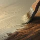 What Type of Paint to Use over Stained Wood